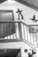 DSC04952bw