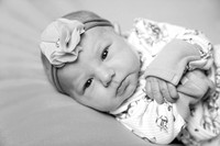 DSC01277bw